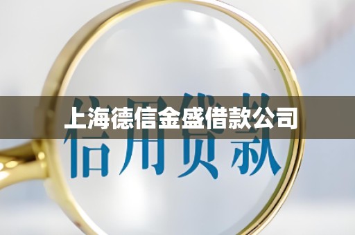  上海德信金盛借款公司