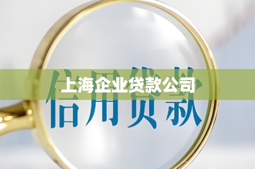 上海企业贷款公司