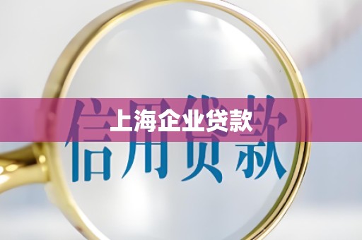 上海企业贷款